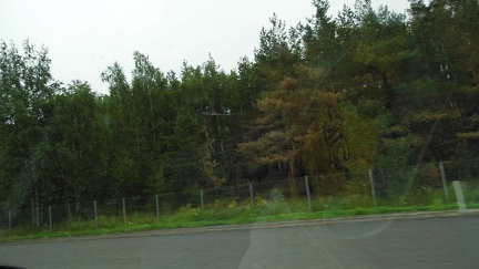 Леса вдоль дороги в Брянск